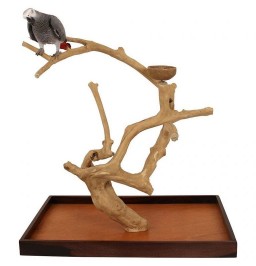 Πάρκο παπαγάλου μεγάλο με java tree
