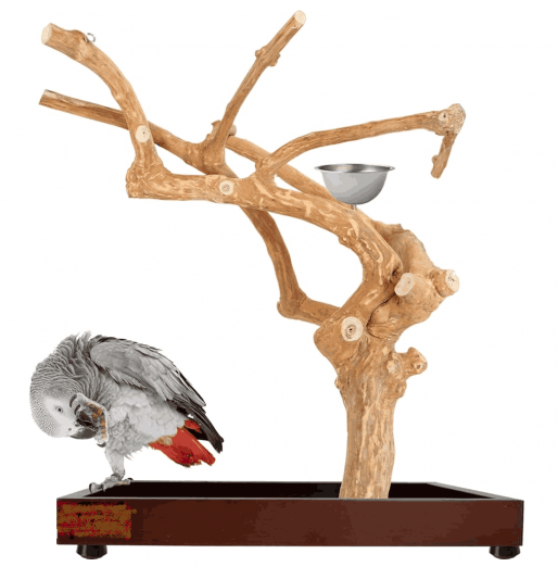 Πάρκο παπαγάλου μεσαίο με java tree
