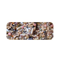 BIRDELICIUS LARGE PARAKEETS SEREGENTI 800gr