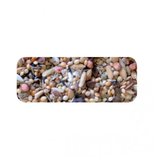 BIRDELICIUS LARGE PARAKEETS SEREGENTI 800gr BIRDELICIUS LARGE PARAKEETS SEREGENTI 800gr