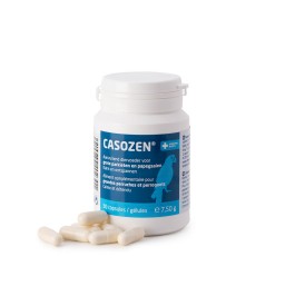 Casosen