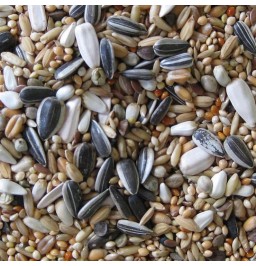 DN PREMIUM ΤΡΟΦΗ ΓΙΑ ΜΕΣΑΙΟΥΣ ΠΑΠΑΓΑΛΟΥΣ 1kg