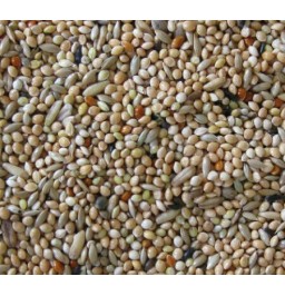 DN PREMIUM ΤΡΟΦΗ ΓΙΑ ΠΑΠΑΓΑΛΑΚΙΑ 1kg