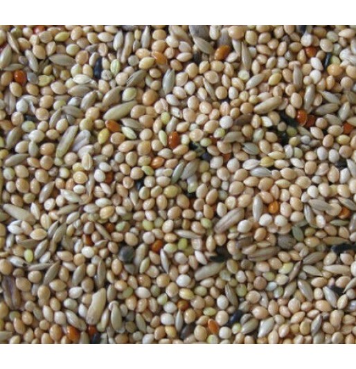 DN PREMIUM ΤΡΟΦΗ ΓΙΑ ΠΑΠΑΓΑΛΑΚΙΑ 1kg