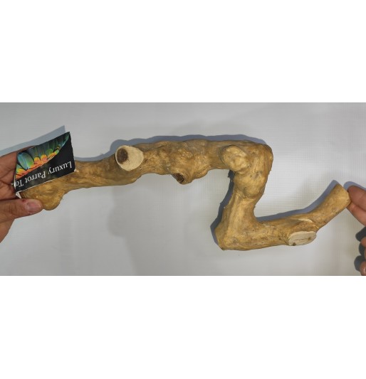 Πατήθρα από δέντρο Java  μεσαία 43cm