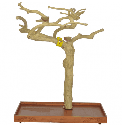 Πάρκο μεγάλου παπαγάλου με Java tree μικρό