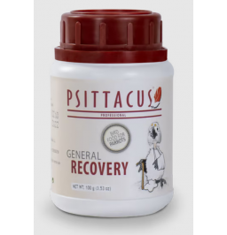 Psittacus recovery