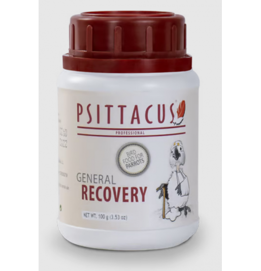 Psittacus recovery
